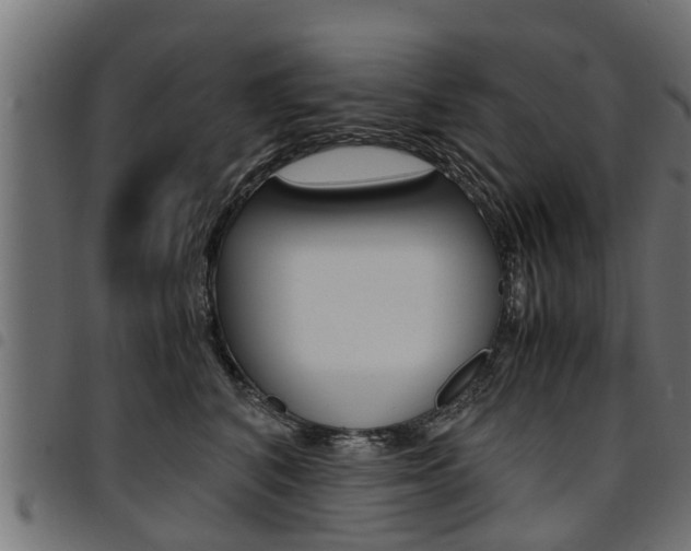 X0000094950616200711291106