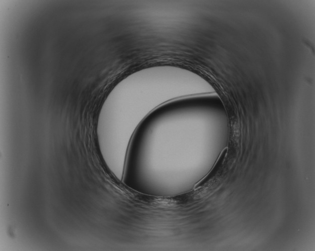 X0000094950617200711291106