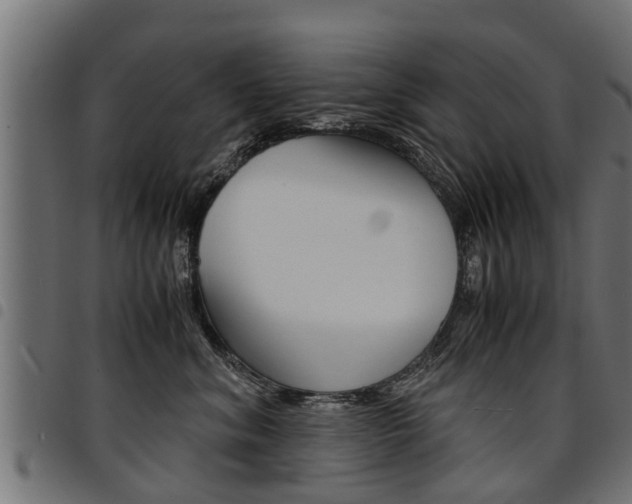 X0000094950620200711291106
