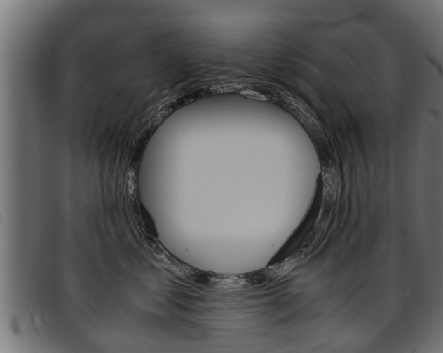 X0000094950621200711291106