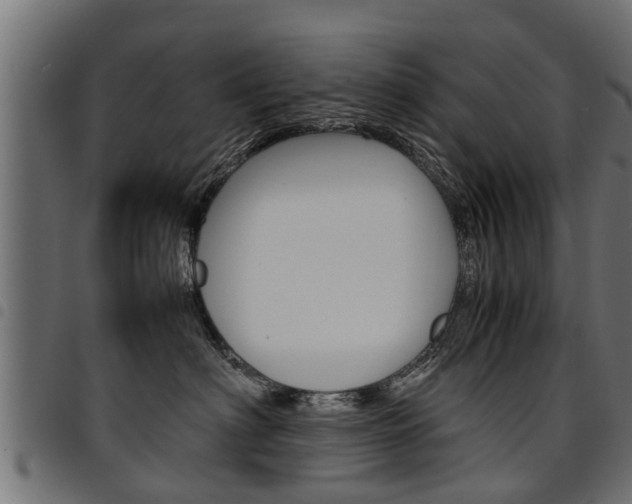 X0000094950622200711291106