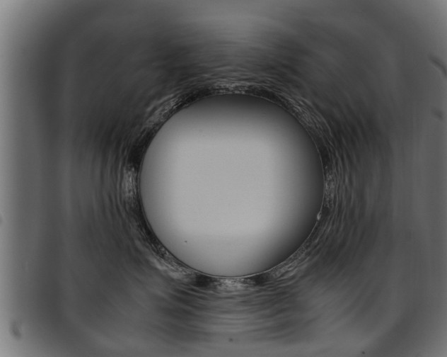 X0000094950623200711291106