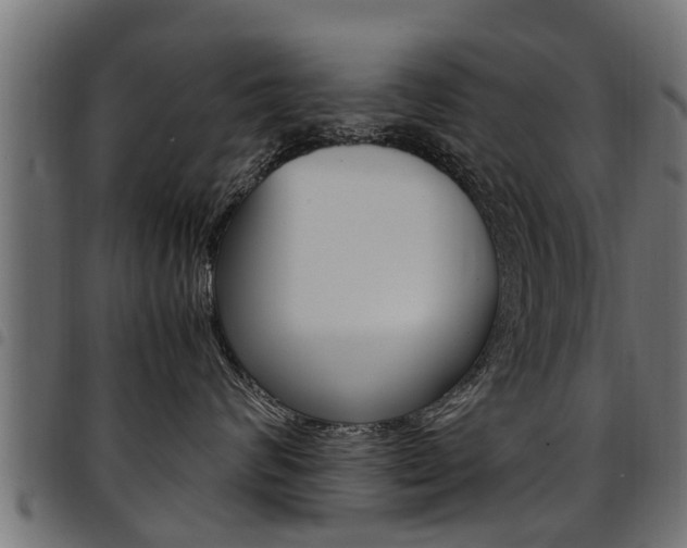 X0000094950624200711291106