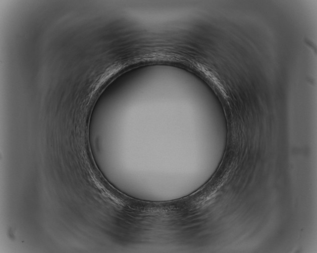X0000094950625200711291106