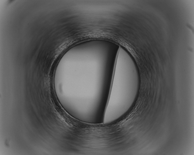 X0000094950626200711291106