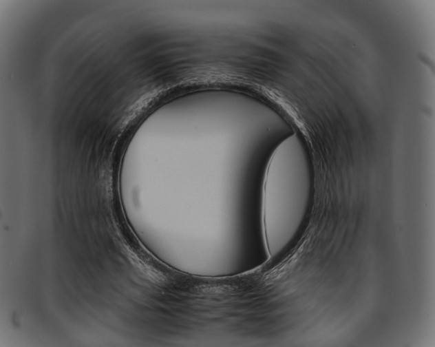 X0000094950629200711291106