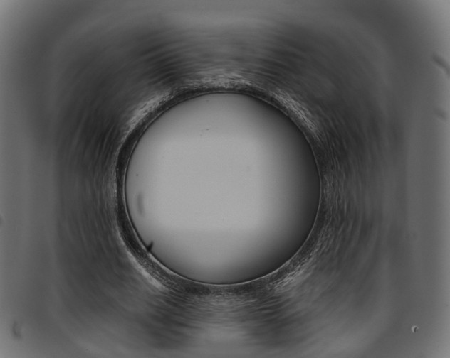 X0000094950630200711291106