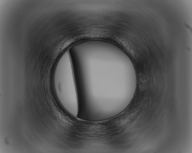 X0000094950631200711291106