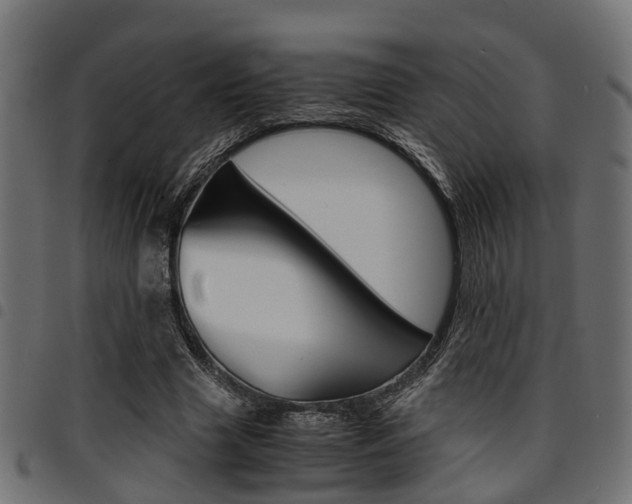 X0000094950633200711291106
