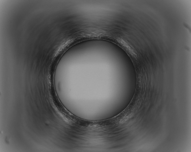 X0000094950634200711291106