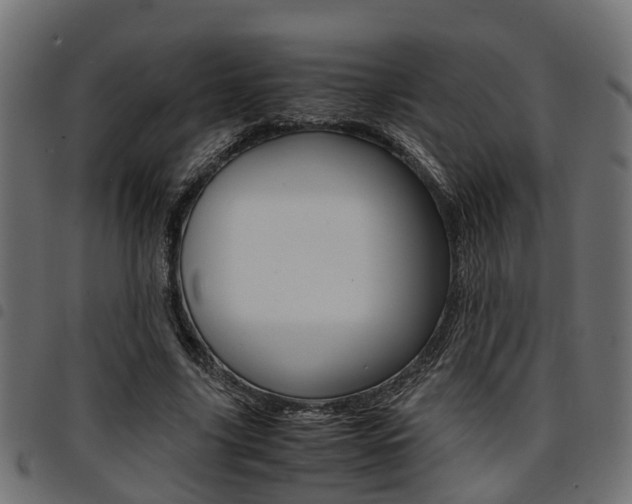 X0000094950635200711291106