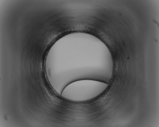 X0000094950636200711291106