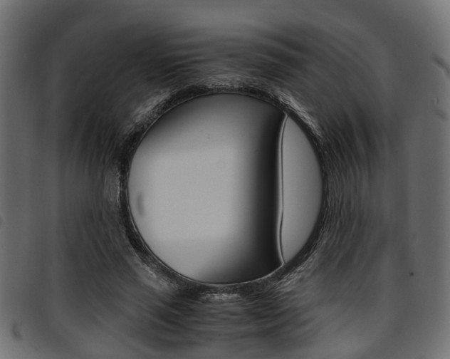 X0000094950637200711291106