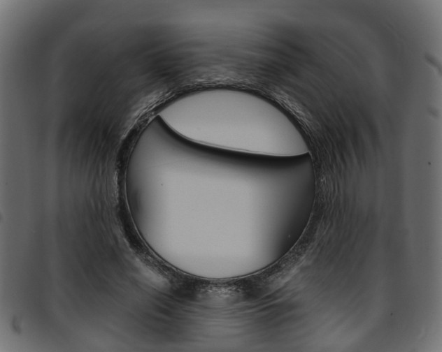 X0000094950638200711291106