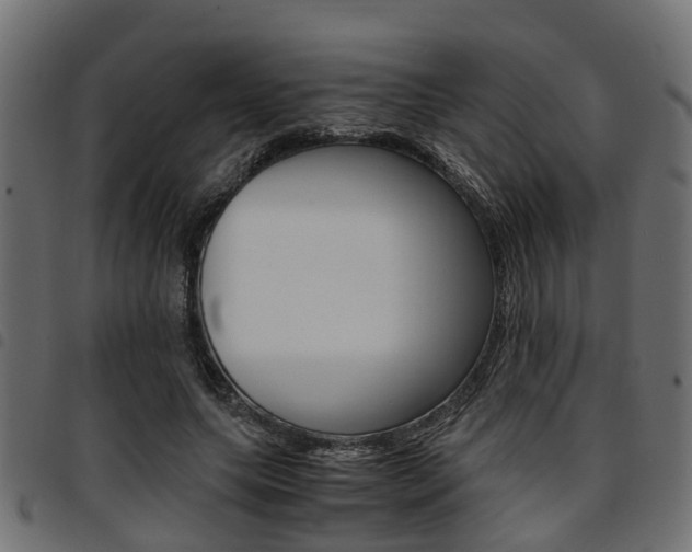 X0000094950639200711291106