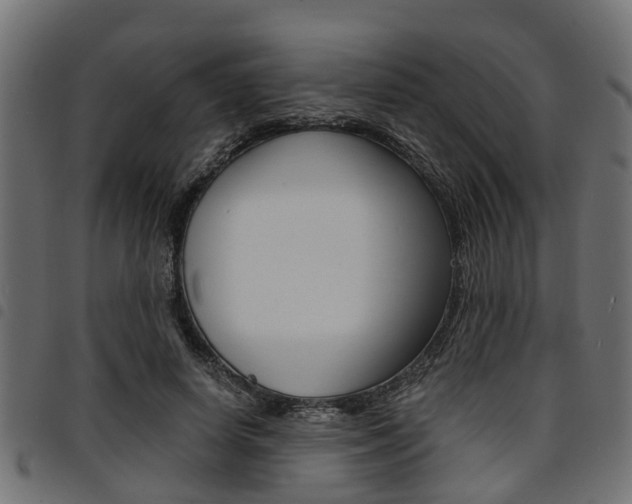X0000094950642200711291106