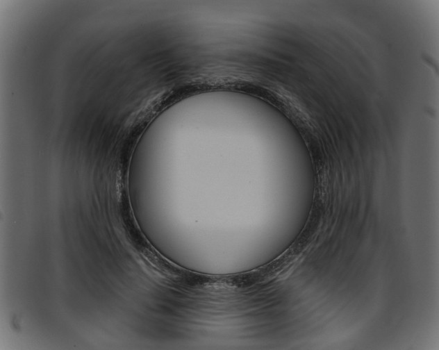 X0000094950644200711291106
