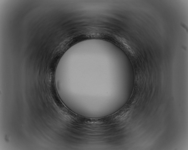 X0000094950645200711291106