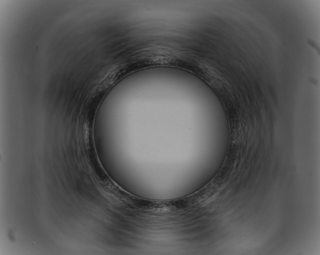 X0000094950646200711291106