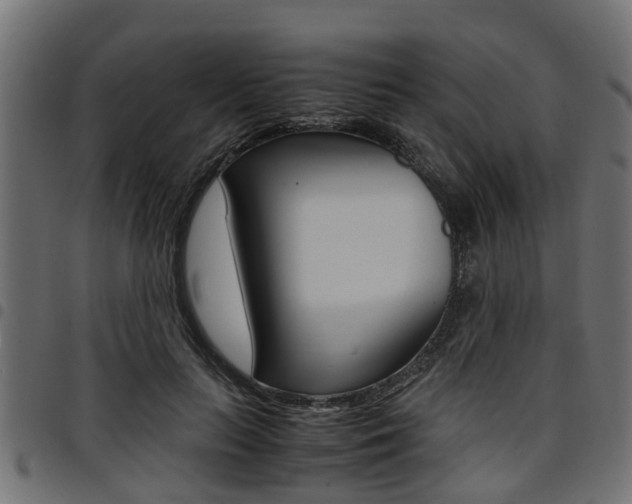X0000094950647200711291106