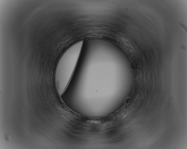 X0000094950649200711291106
