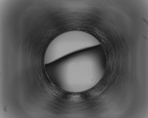 X0000094950651200711291106