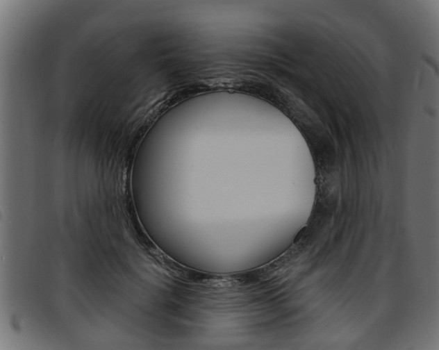 X0000094950652200711291106