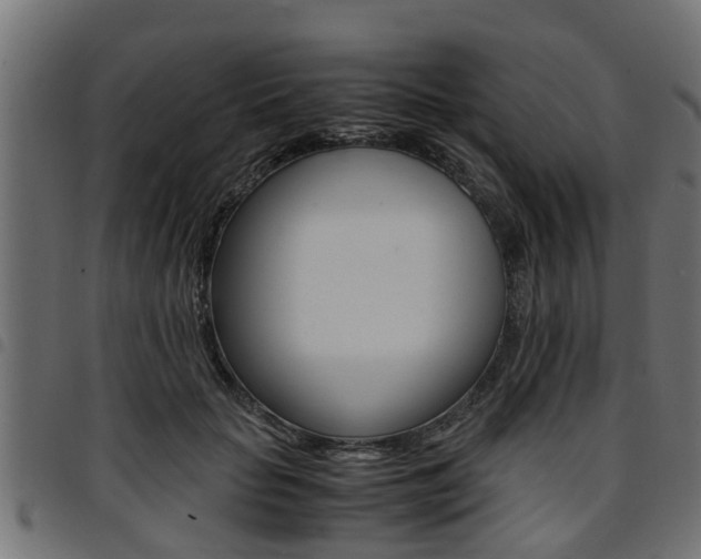 X0000094950653200711291106