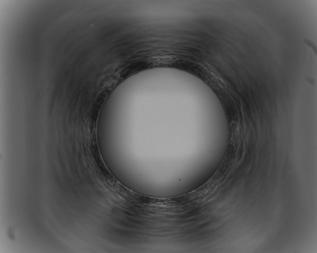 X0000094950655200711291106