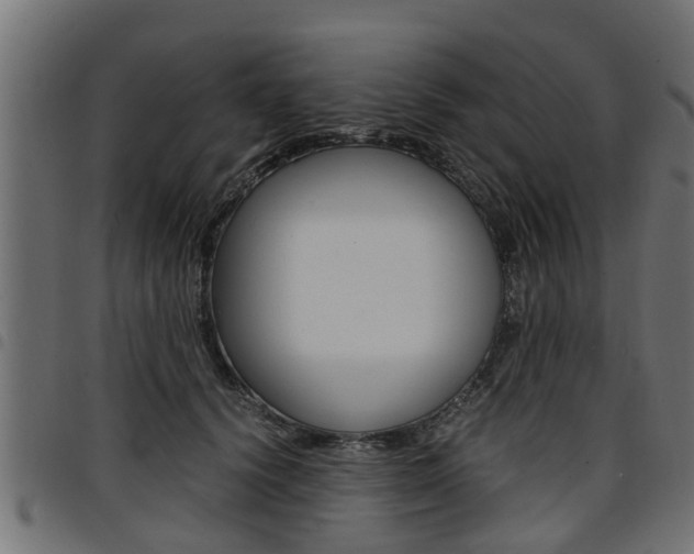 X0000094950656200711291106