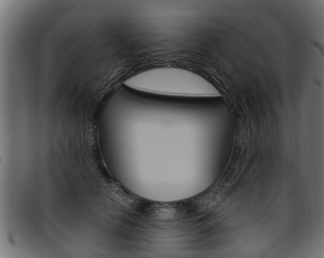 X0000094950658200711291106