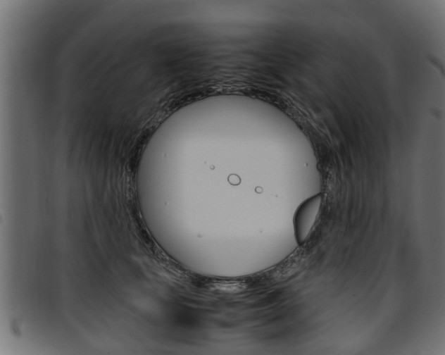 X0000094950659200711291106