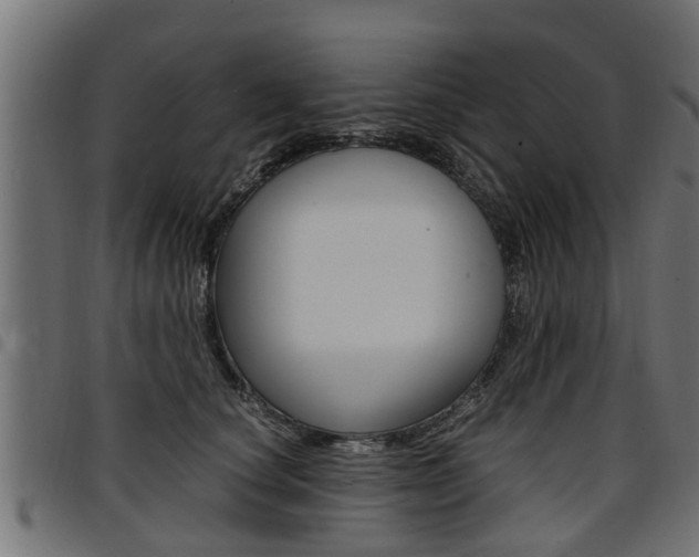 X0000094950660200711291106