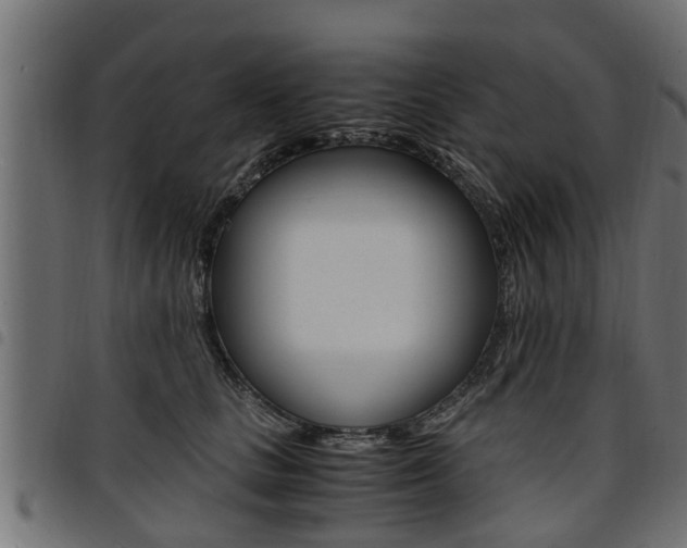 X0000094950661200711291106