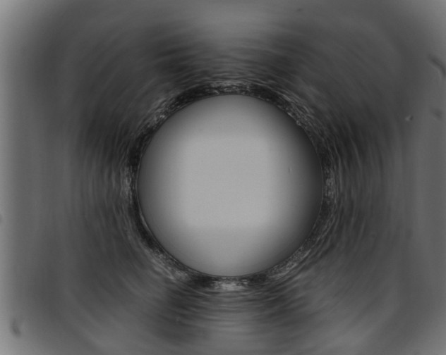 X0000094950662200711291106