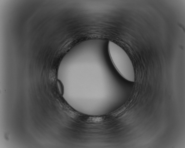 X0000094950665200711291106