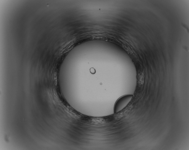 X0000094950666200711291106