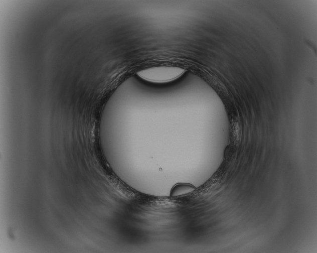 X0000094950668200711291106