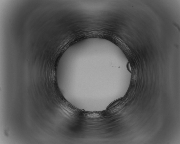 X0000094950669200711291106