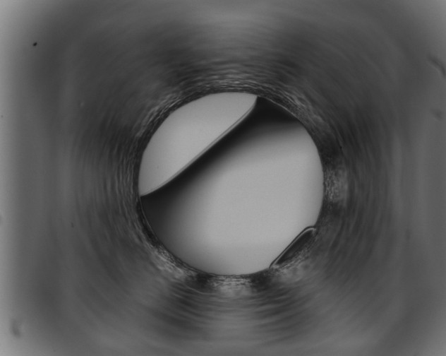 X0000094950670200711291106