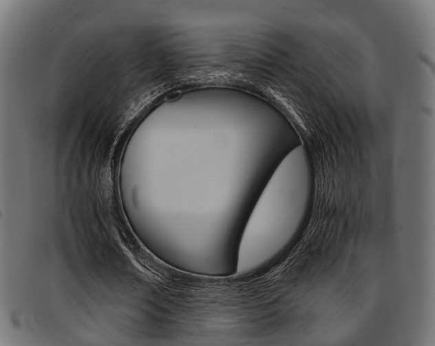 X0000094950674200711291105