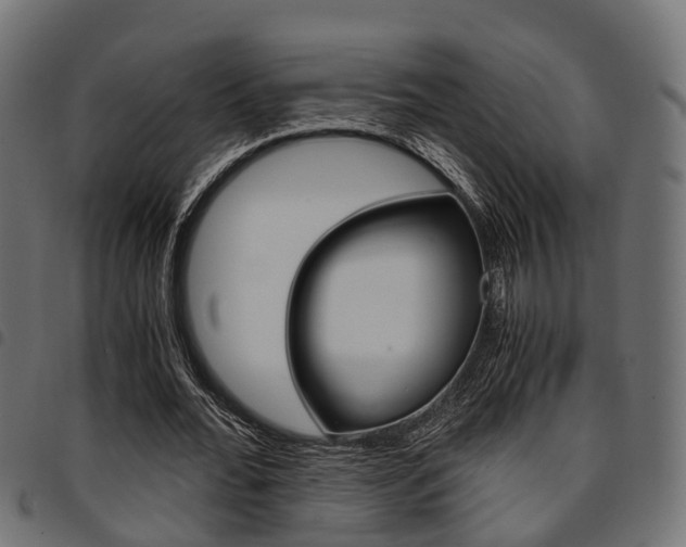 X0000094950676200711291105