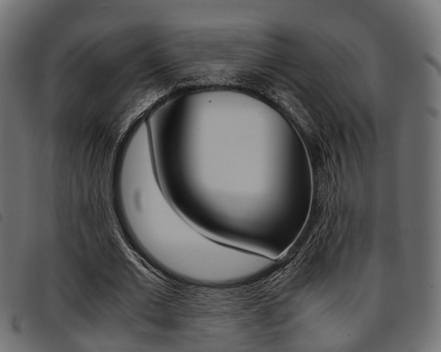 X0000094950677200711291105