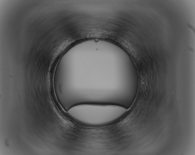 X0000094950678200711291105