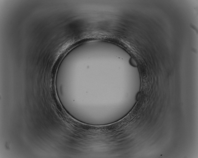 X0000094950679200711291105