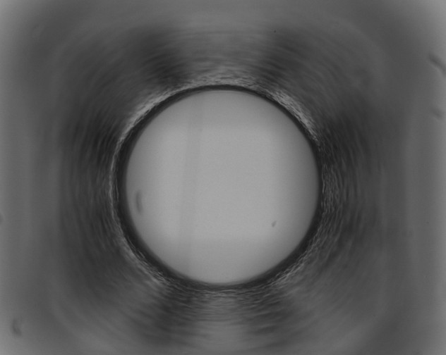 X0000094950680200711291105