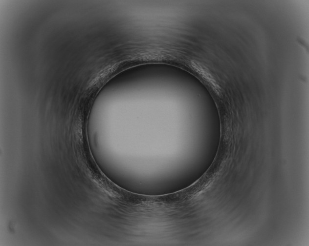 X0000094950681200711291105