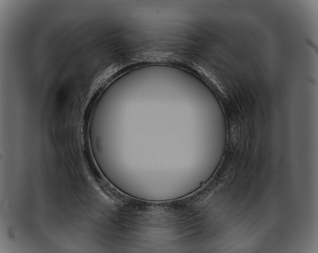 X0000094950682200711291105