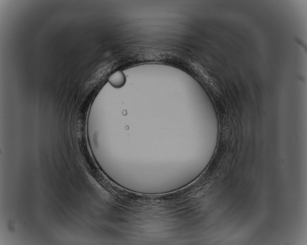 X0000094950683200711291105