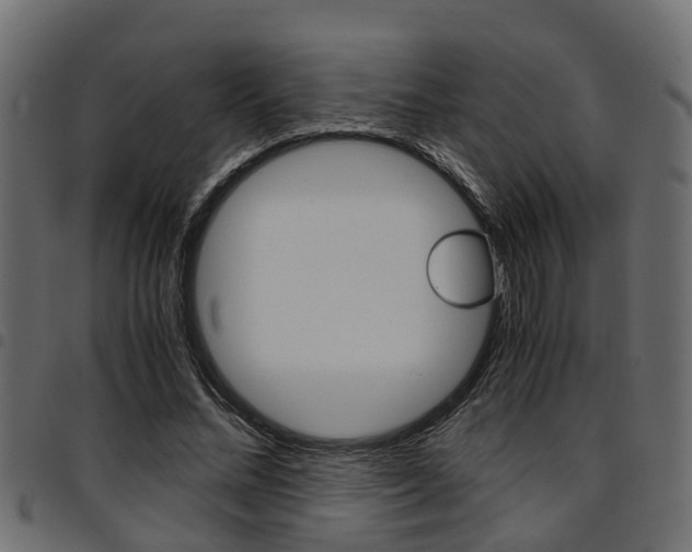 X0000094950684200711291105
